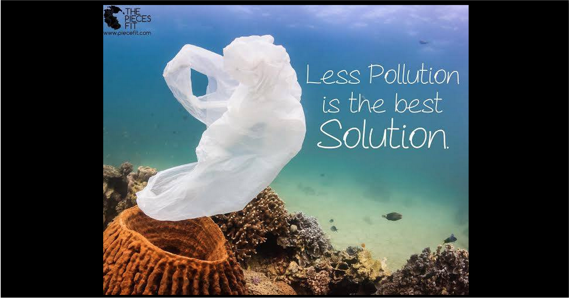 California Just Passed Historic Legislation to Ban Plastic Bags ATTN